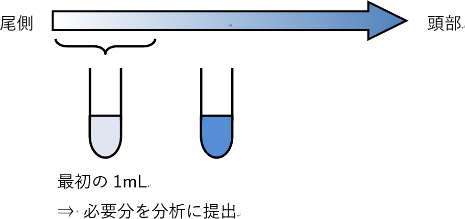 モノアミン関連物質測定用の髄液採取手順